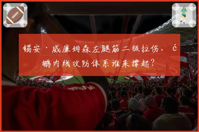 锡安·威廉姆森左腿筋二级拉伤,鹈鹕内线攻防体系谁来撑起?