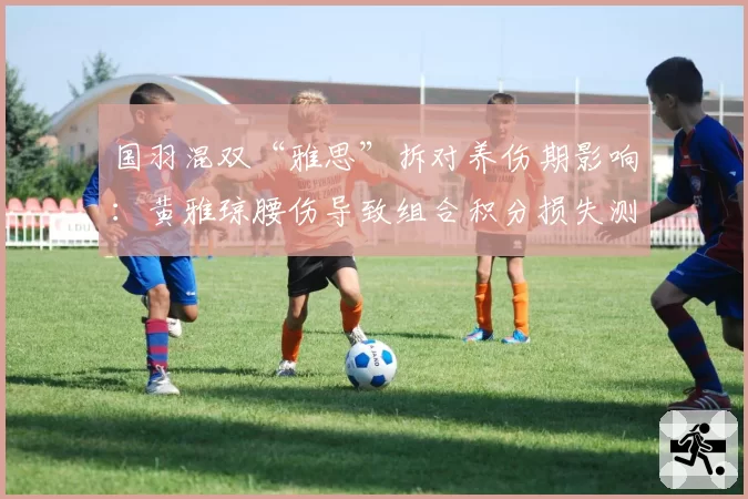 国羽混双“雅思”拆对养伤期影响：黄雅琼腰伤导致组合积分损失测算